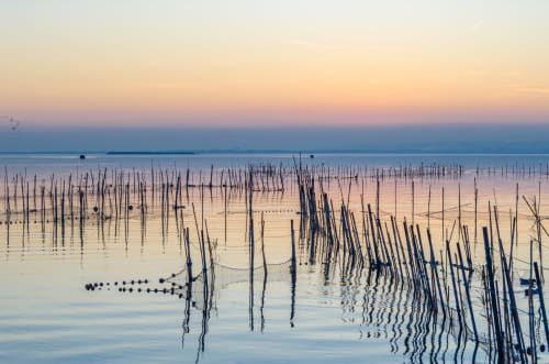 Amanecer sereno en Museros con estacas de cultivo de ostras reflejadas en aguas tranquilas, ITOUR Hotel & Coffee