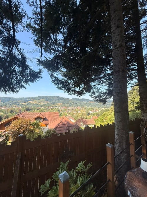 Canopée forestière encadrant la vue sur la vallée villageoise depuis le gîte Les Cabanes des Marchous à Granges-Aumontzey, France
