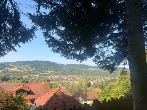 Vue du village de Granges-Aumontzey niché dans les collines boisées depuis le gîte Les Cabanes des Marchous, bâtiments aux toits rouges