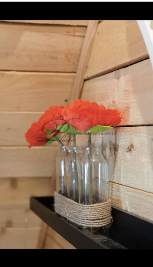Vif œillet rouge dans un vase en verre avec ficelle, Les Cabanes des Marchous, mur en bois