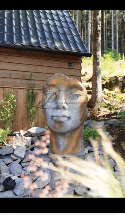 Sculpture de tête en pierre dans le jardin du gîte Les Cabanes des Marchous, entourée de rochers et de forêt