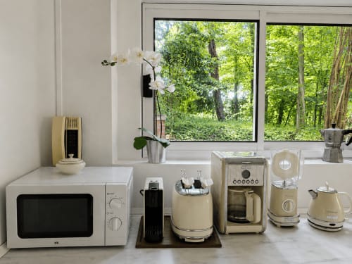 Modern kitchen counter at Veneto Villa Lake House with appliances, orchid plant, and forest view through windows