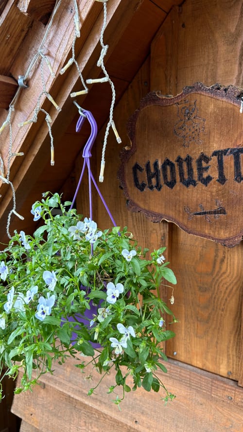 Pétunias retombants et arrosoir violet devant la Cabane Chouette aux Cabanes des Marchous, Granges-Aumontzey