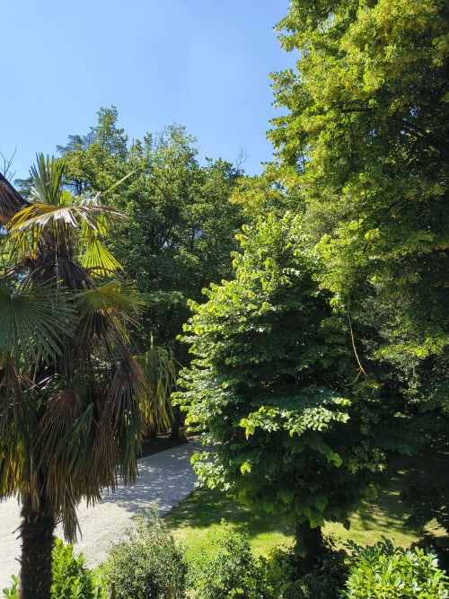 Lush green garden pathway at Veneto Villa with palm tree and verdant foliage in Sant'Agostino, Italy