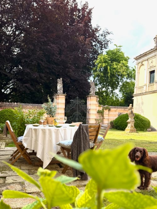 Elegant outdoor dining setup at Veneto Villa's Wisteria Lodge in Sant'Agostino, Italy, with dog in garden