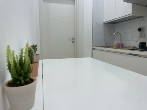 Cucina moderna nella suite sogni dell'appartamento a Bologna con piano di lavoro bianco, pianta di cactus e elettrodomestici in acciaio inox