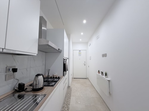 Moderna cucina a galley bianca nella suite Dream di Bologna con fornello, bollitore e piante