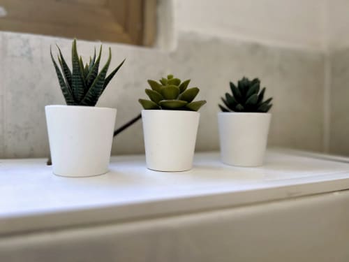 Tre piccoli succulenti in vasi di ceramica bianca su un davanzale dell'appartamento WelcHome a Lanciano, Italia