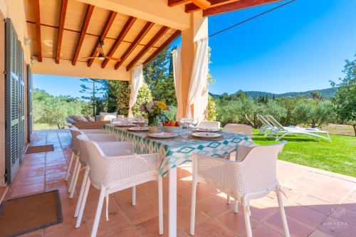 Zona de comedor en terraza cubierta de Massa Properties en Artà con sillas blancas, vigas de madera y olivos