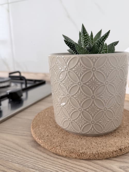 Pianta grassa in vaso decorativo di ceramica su sottobicchiere in sughero nella Dream Suite Bologna
