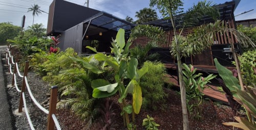 Exuberante jardín tropical con plantas de plátano en Contenedores Boutique Hotel, San Carlos, Costa Rica