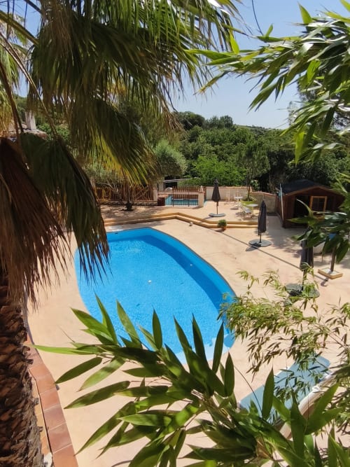 Piscine bleue entourée de palmiers et terrasse au gîte Au bon vivre à Vives, France
