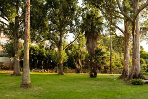 Lush garden at Sea'Ya Villas in Colares with mature trees and manicured lawn, creating a serene outdoor retreat.