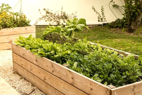 Wooden raised garden bed with fresh vegetables and herbs at Sea'Ya Villas in Colares, Portugal
