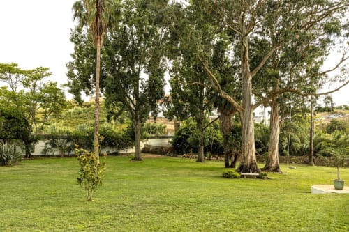 Lush green lawn with tall eucalyptus trees at Sea'Ya Casa Pavão villa in Colares, Portugal