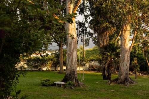 Tranquil garden at Sea'Ya Villas with tall eucalyptus trees, rope swing, lush green lawn, and stone bench in Colares,