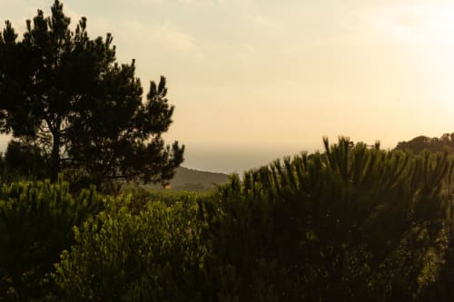 Sunset view from Sea'Ya Casa Pavão villa in Colares with pine trees and mountain landscape