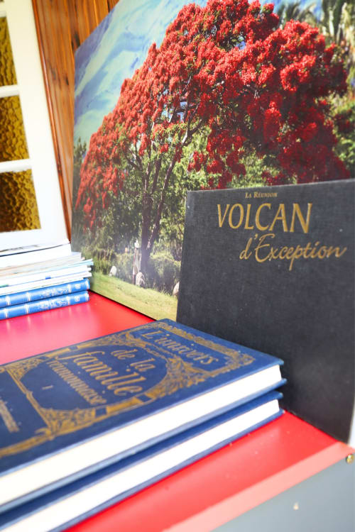 Livres de décoration et exposition 'Volcan d'Exception' au gîte R'marine439 BnB à Sainte-Rose, Réunion, vue jardin