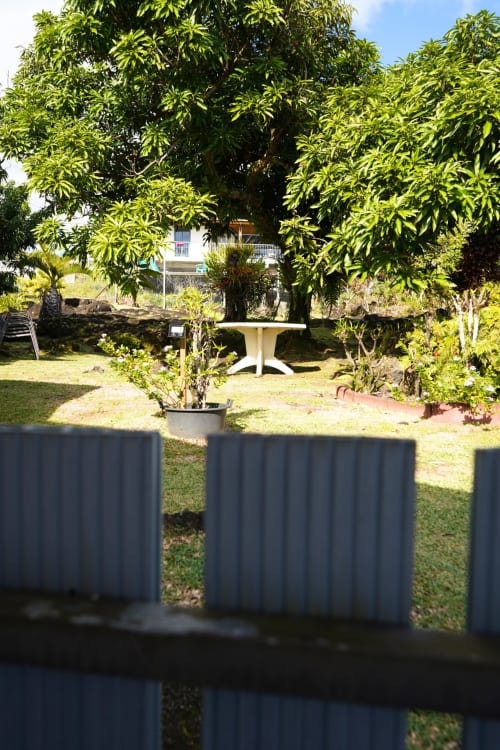 Jardin luxuriant du gîte R'marine439 à Sainte-Rose avec coin détente ombragé et végétation tropicale