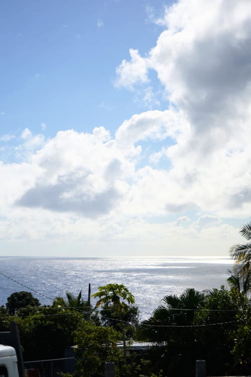 Vue tropicale sur l'océan du bungalow R'marine439 à Sainte-Rose avec nuages blancs et cocotiers