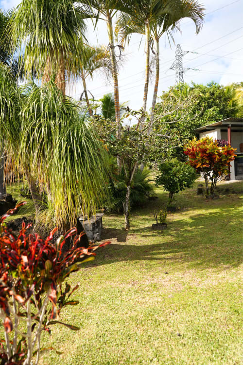 Jardin tropical luxuriant au bungalow R'marine439 à Sainte-Rose avec palmiers, fleurs rouges