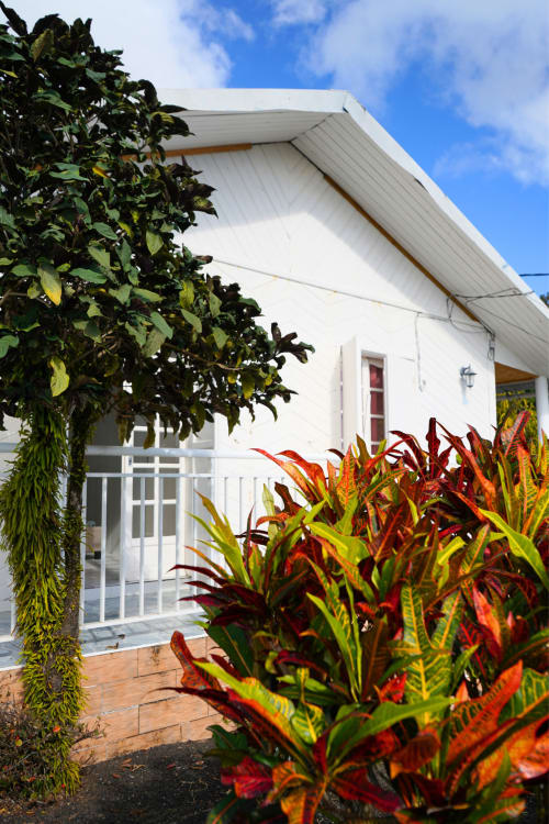 Maison blanche de la villa R'marine439 à Sainte-Rose avec jardin tropical coloré et plantes à feuillage rouge