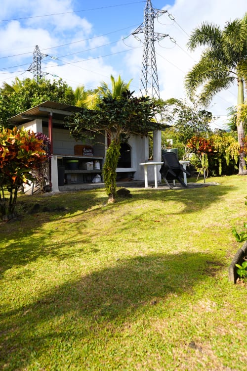 Jardin tropical luxuriant de la chambre d'hôtes R'marine439 à Sainte-Rose avec verdure abondante et lignes électriques