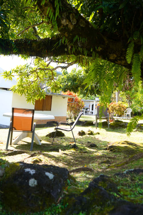 Coin détente ombragé au gîte R'marine439 à Sainte-Rose avec une verdure luxuriante et une végétation tropicale généreuse