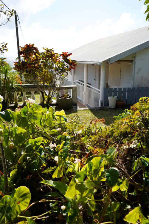 Vue du jardin de la Caz' Mangoustan au gîte R'marine439 à Sainte-Rose avec plantes tropicales luxuriantes et véranda blanche