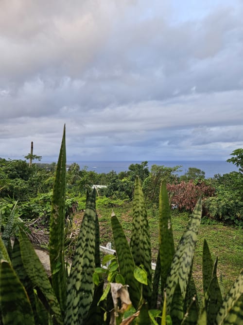 Jardin tropical avec plantes tachetées surplombant l'océan, villa R'marine439 à Sainte-Rose, Réunion