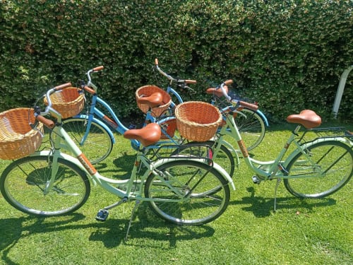 Collezione di biciclette in stile vintage con cesti in vimini sul prato di La Casetta dei Ronchi, Marina di Massa