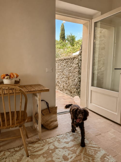 Dark dog in bright Tuscan apartment with garden view, wooden furniture, and stone courtyard beyond open doors