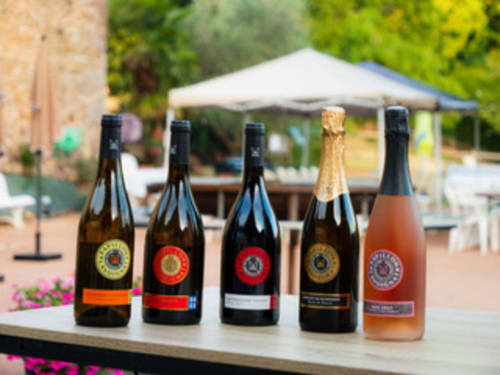 Bouteilles de vin exposées à la terrasse extérieure des Gîtes Les Muriers à Bourgvilain, France avec parasol et décor de jardin