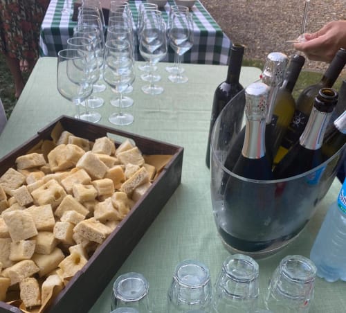 Degustazione di vini a Palazzo Bonfiglioli con cracker, bottiglie di vino nel secchiello di ghiaccio e calici sul tavolo