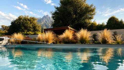 Piscine chauffée de la Villa Capu Biancu en Corse avec herbes ornementales, montagnes en arrière-plan et équipements modernes