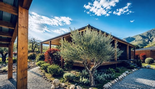 Villa en bois moderne en Corse avec oliviers, cour en graviers et vue sur les montagnes aux Villas Vallée d'Asco