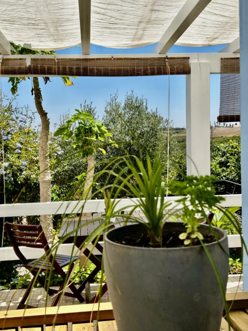 Terraço ensolarado da Ocean House Alentejo com plantas em vasos, pérgula para sombra e vista para o campo com olivais.