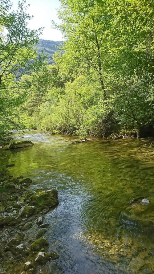 Rivière cristalline traversant une forêt verdoyante avec rochers couverts de mousse et montagnes lointaines à l'Hôtel Du Rocher, Le Caylar