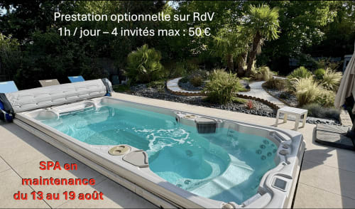 Luxury spa with jets and loungers at Millygite, Milly-la-Forêt. Garden view with palm trees and landscaping.
