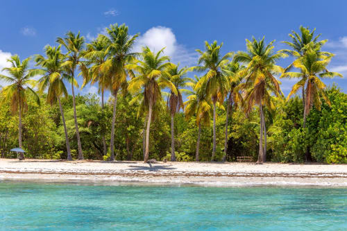 Plage sable blanc Martinique Caraïbes