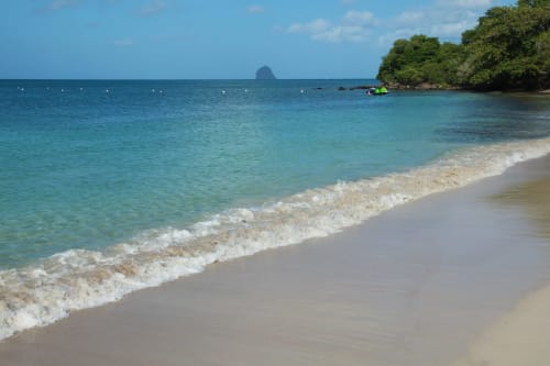Plage tropicale immaculée avec eaux turquoise, sable blanc et végétation luxuriante en Martinique