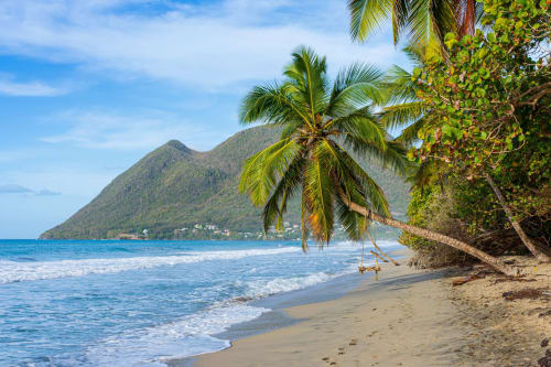 Plage tropicale avec palmiers, sable blanc et montagnes au  Diamant, Martinique