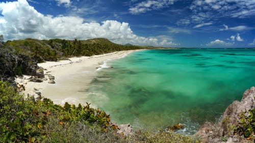 Plage tropicale turquoise avec sable blanc, palmiers et falaises rocheuses sous ciel bleu Martinique
