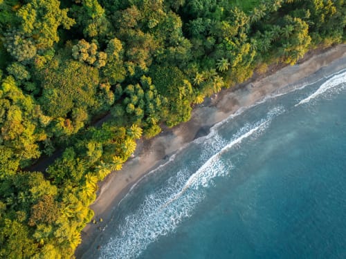 Vue aérienne d'une forêt tropicale luxuriante rencontrant les vagues turquoise d'une plage de Martinique 