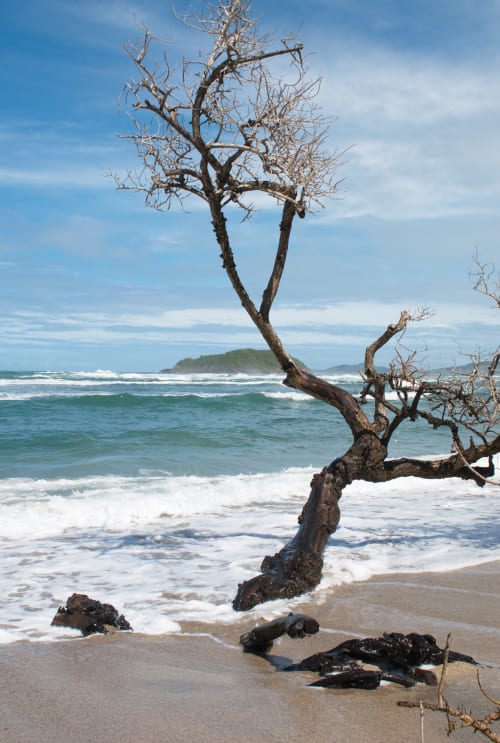 Plage sable blanc Martinique Caraïbes