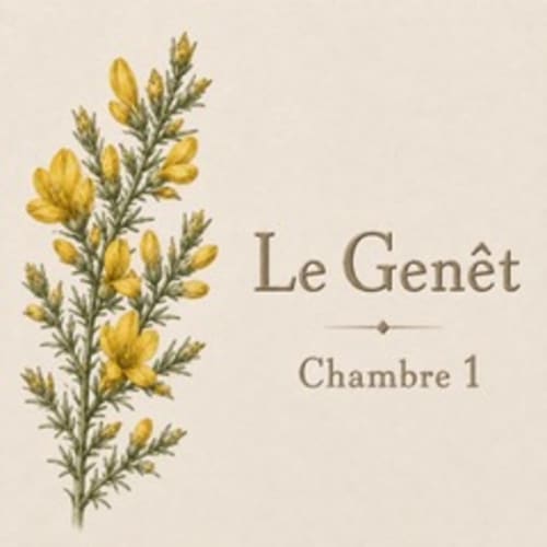 Illustration de fleurs de genêt jaune pour la Chambre 1 de La Grange Aux Étangs, gîte à Sennely