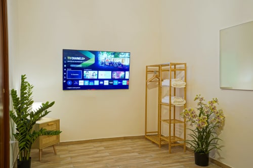 Calaba Decumani apartment in Naples with wall-mounted TV, wooden shelving, potted plants, and wooden flooring