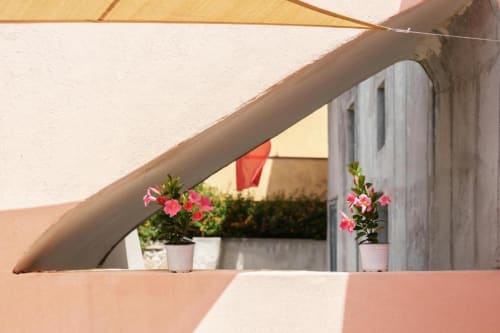 Fiori rosa vivaci in vasi sulla terrazza di Origenes Rooms a Procida, Italia