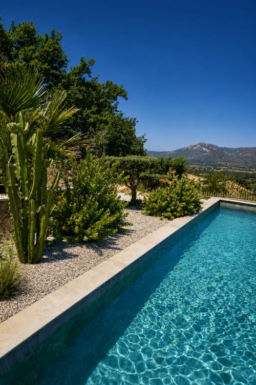Piscine de la Villa Alora avec cactus et vue sur les montagnes à Calenzana, Corse