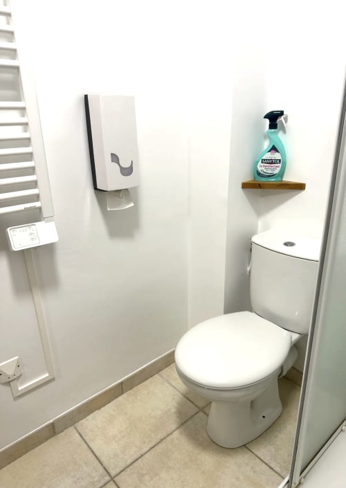 Salle de bain moderne de la villa Villa des Palmiers avec toilettes blanches, lavabo et spray désinfectant Sanitol sur étagère en bois
